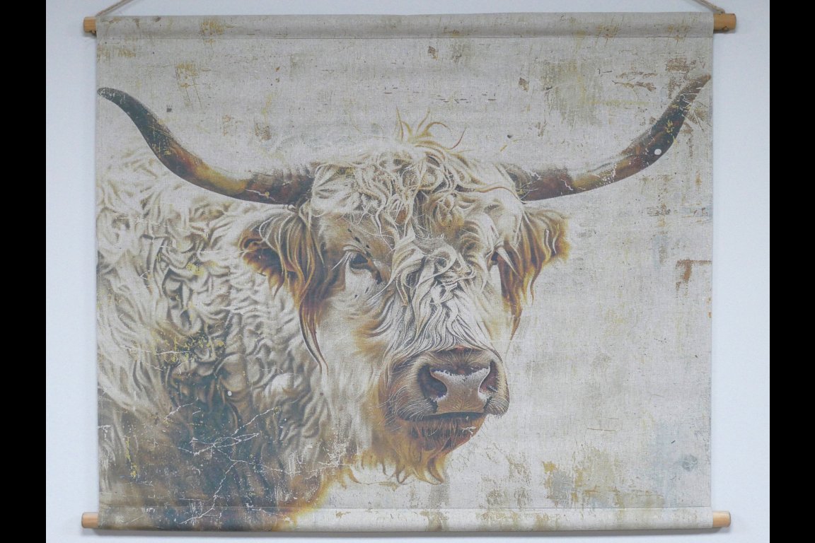Canvas Wall Art -  Cow