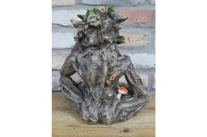 Treeman Birdfeeder