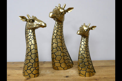 Giraffe Head (M)