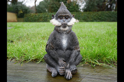 Bearded Monkey