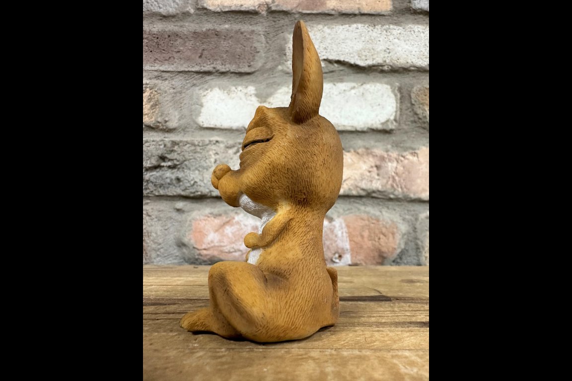 Grining Dog