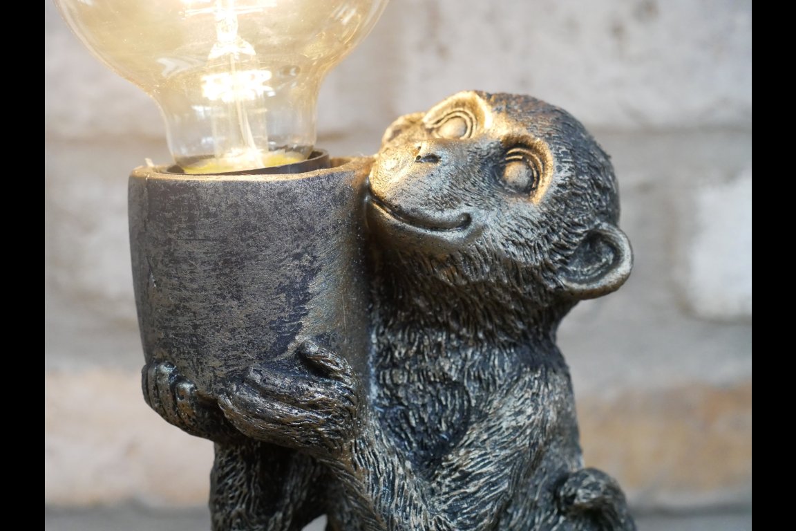 Monkey Light