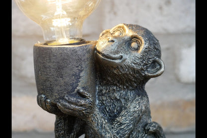 Monkey Light