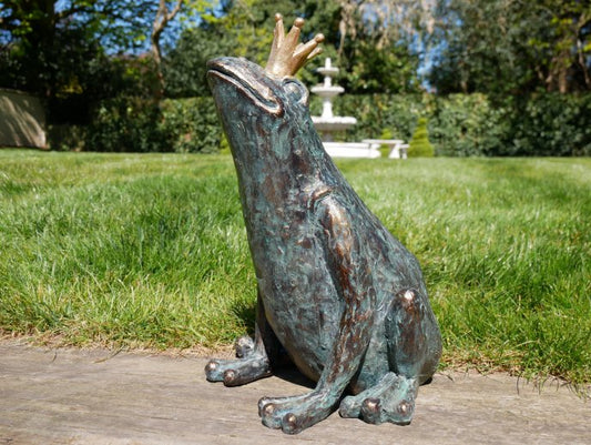 Frog Prince