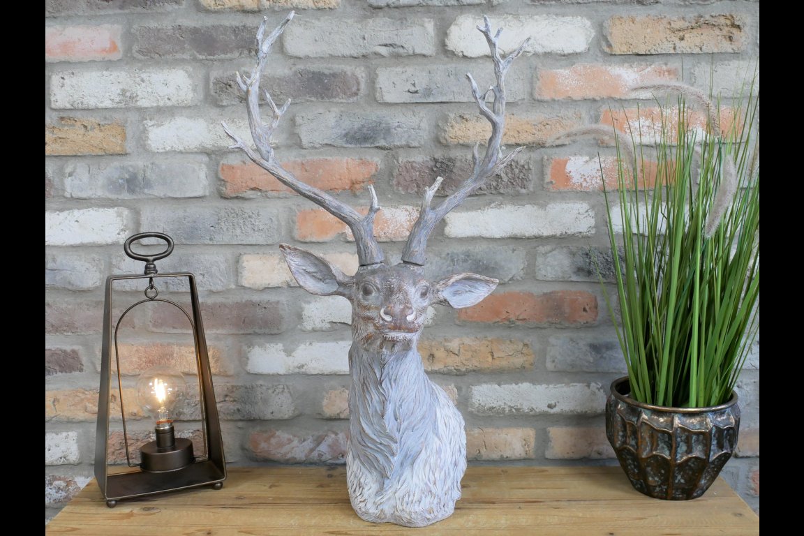 Stag Head