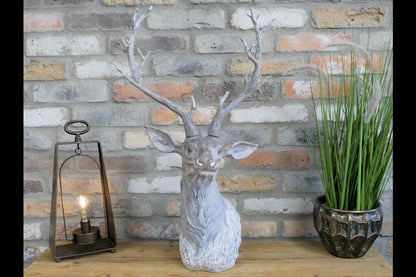 Stag Head