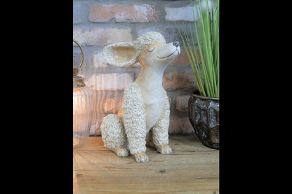 Poodle