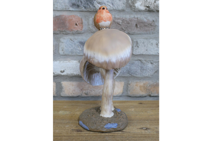 Robin On Top Of Mushrooms