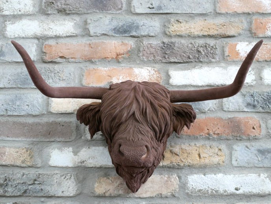 Cow Head