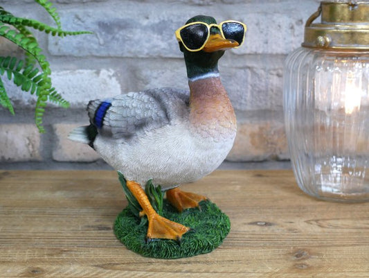 Duck In Shades