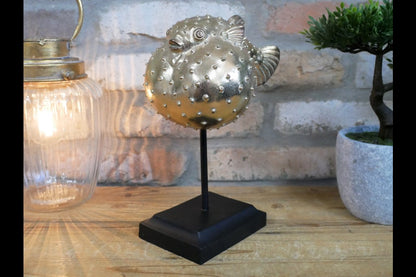 Puffer Fish
