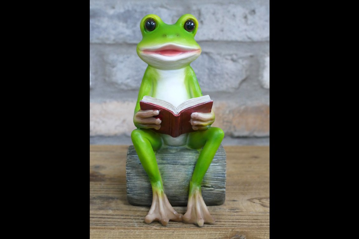 Reading Frog