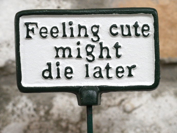 Plant Sign - Feeling Cute