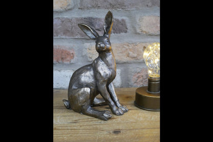 Hare