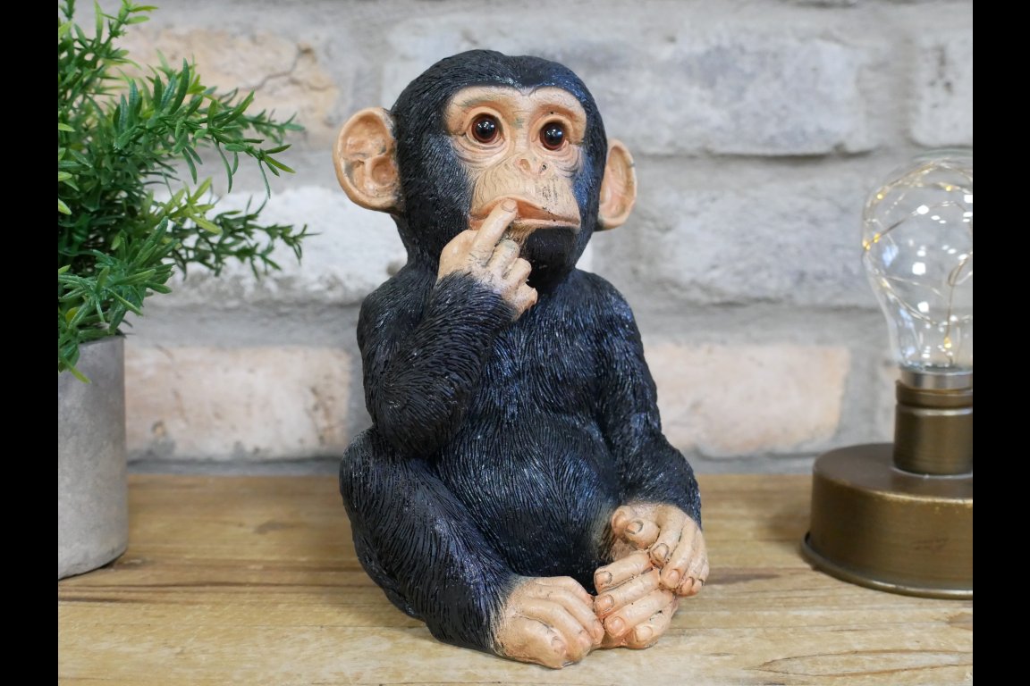 Finger In Mouth Monkey - Small