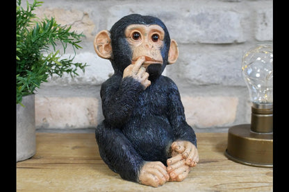 Finger In Mouth Monkey - Small