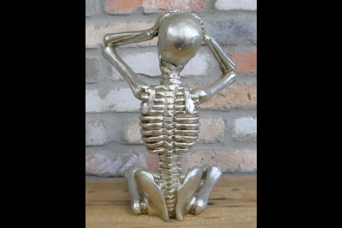 Skeleton