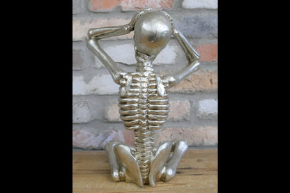 Skeleton
