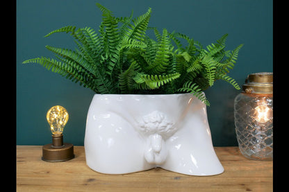 Man Planter