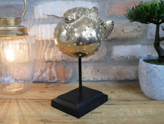 Puffer Fish