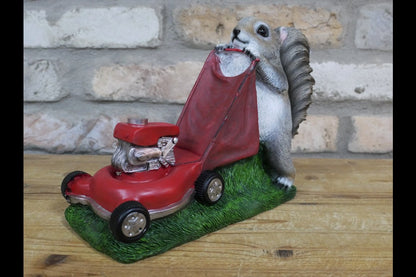 Squirrel Grasscutter