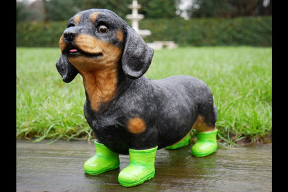 Dog In Boots