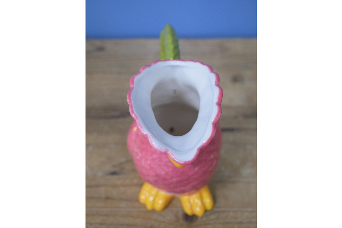 Polly Parrot Jug