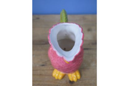 Polly Parrot Jug