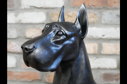 Sitting Great Dane