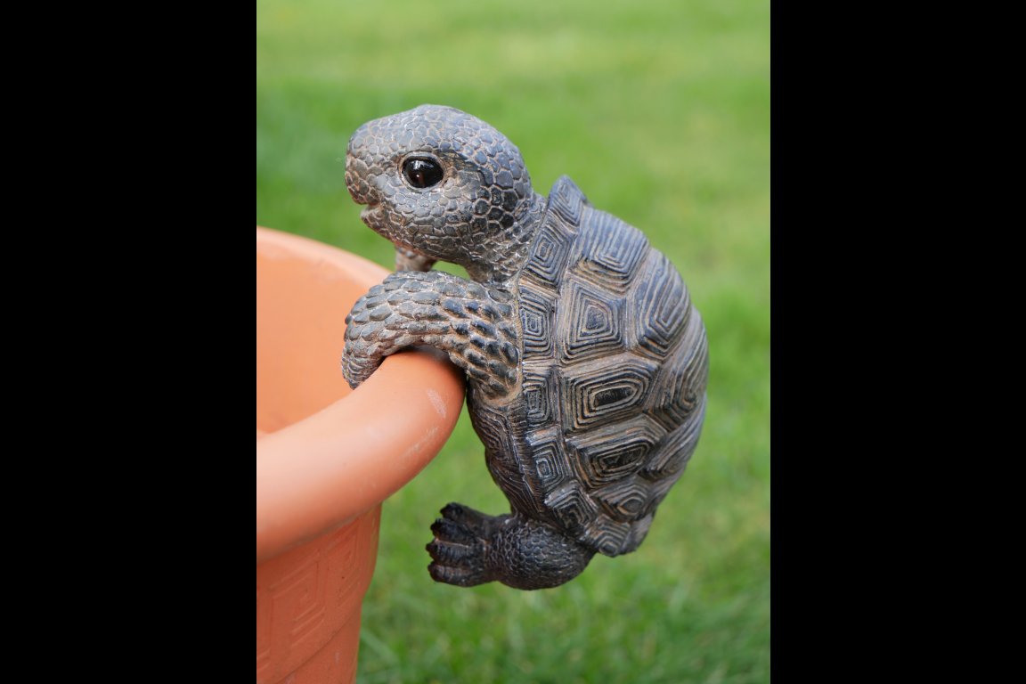 Pot Hanging Tortoise
