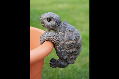 Pot Hanging Tortoise