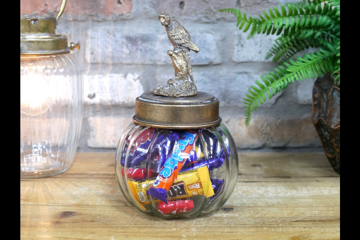 Bird Jar
