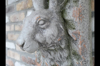 Rabbit Head
