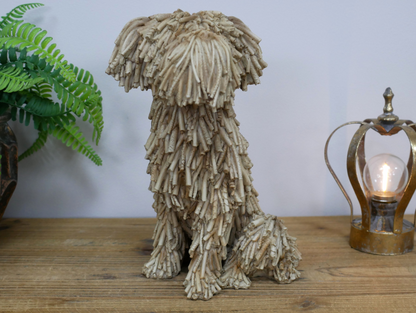 Sitting Shaggy Dog