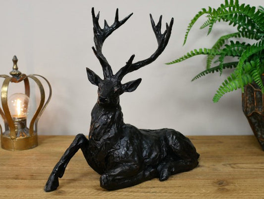 Laying Stag