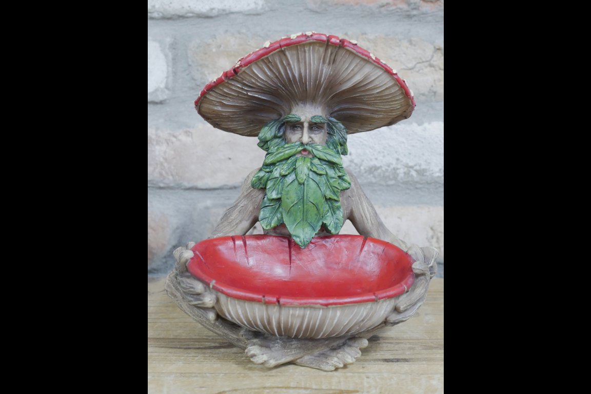 Mushroom Man