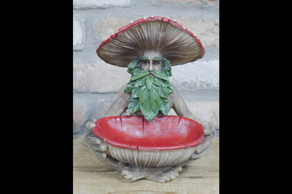 Mushroom Man