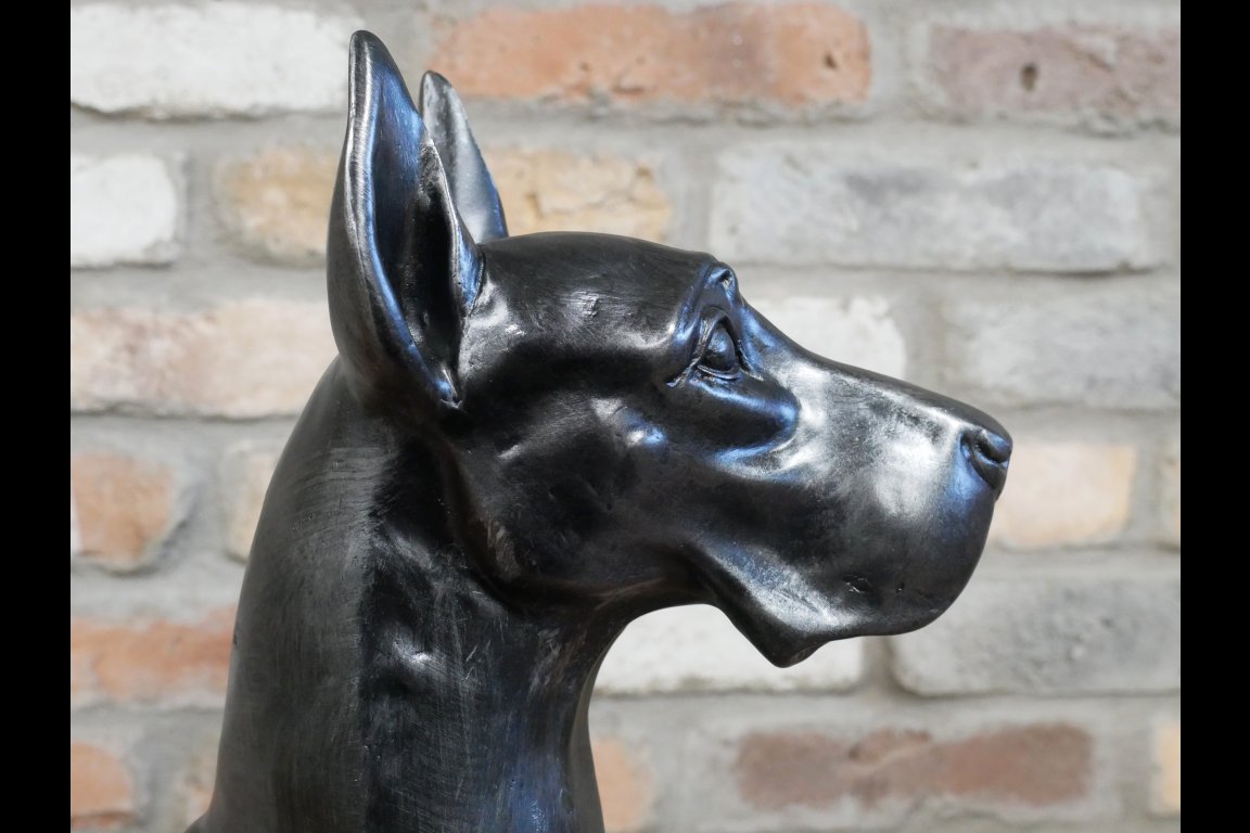 Sitting Great Dane