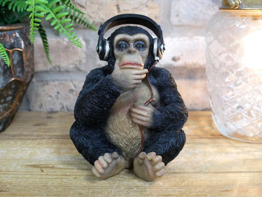 Monkey With Headphones