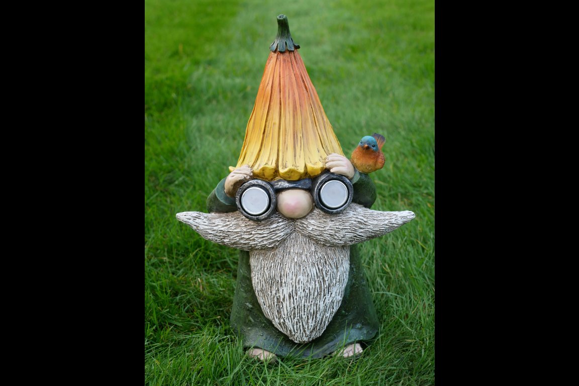 Gnome With Solar Lights