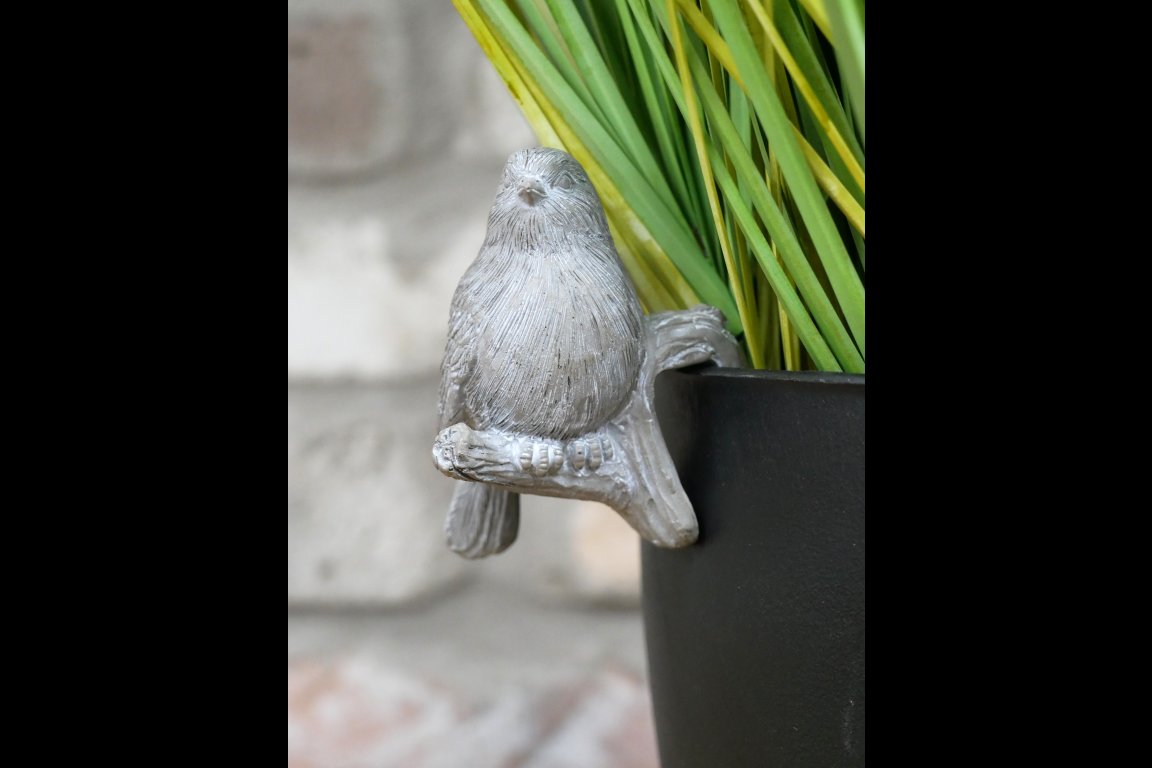 Birds Pot Hangers (Set of 4)