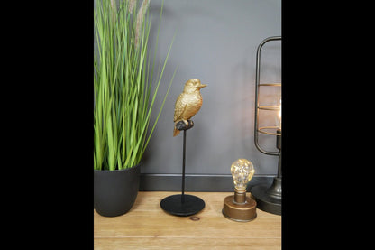 Bird On Stand