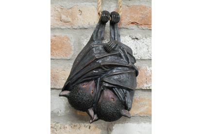 Hanging Bats
