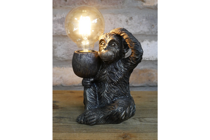 Monkey Light