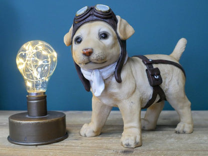 Pilot Dog