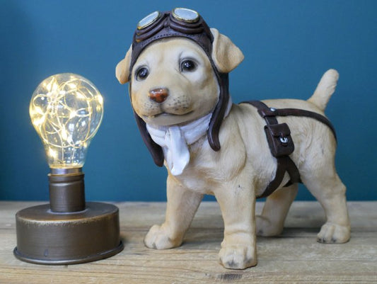Pilot Dog