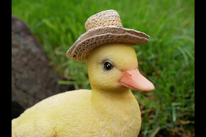 Chick With Hat