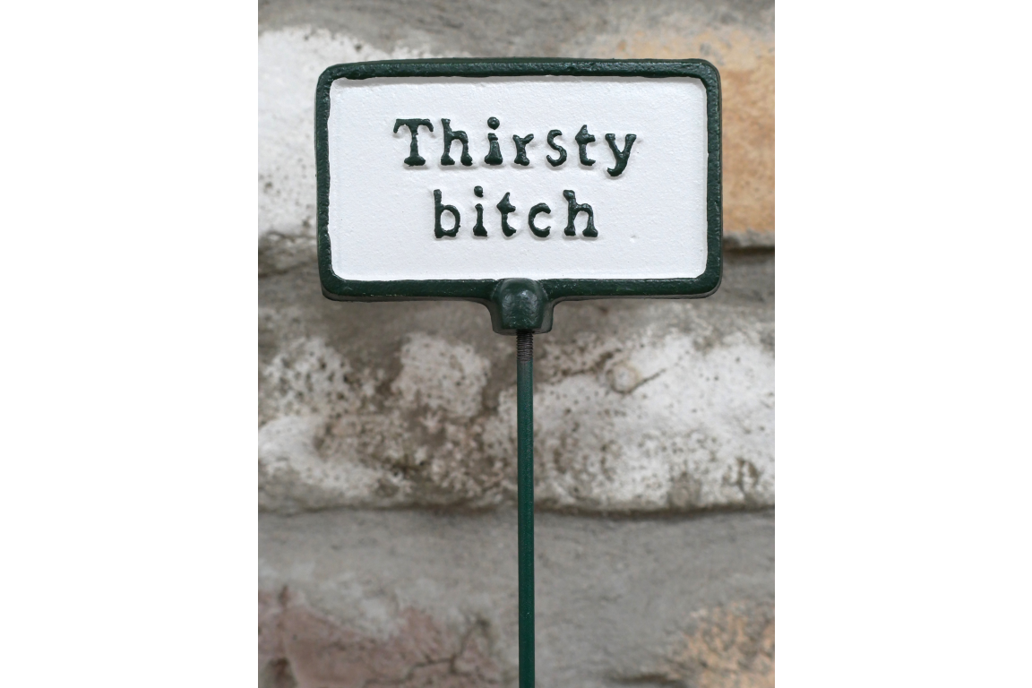 Plant Sign - Thirsty Bitch
