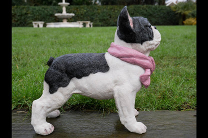 Dog With Scarf