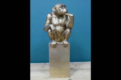 Thinking Monkey